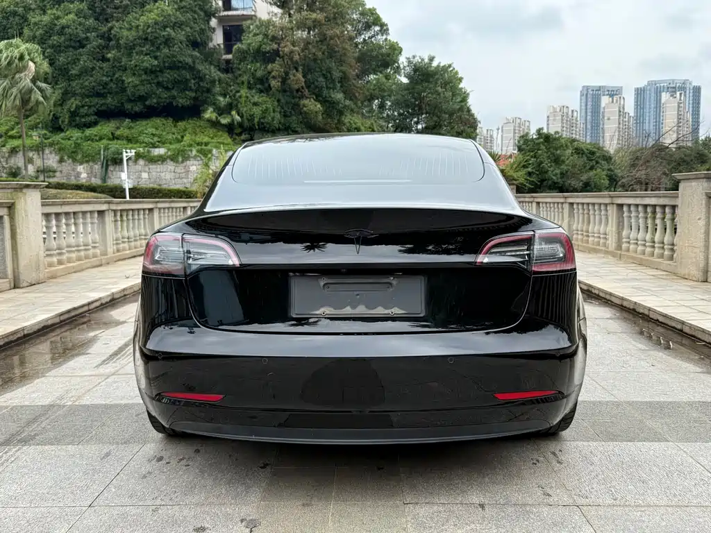 Tesla Model 3 — миниатюра 11