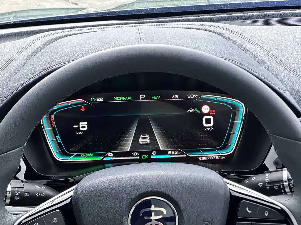 BYD PLUS New Energy — миниатюра 14