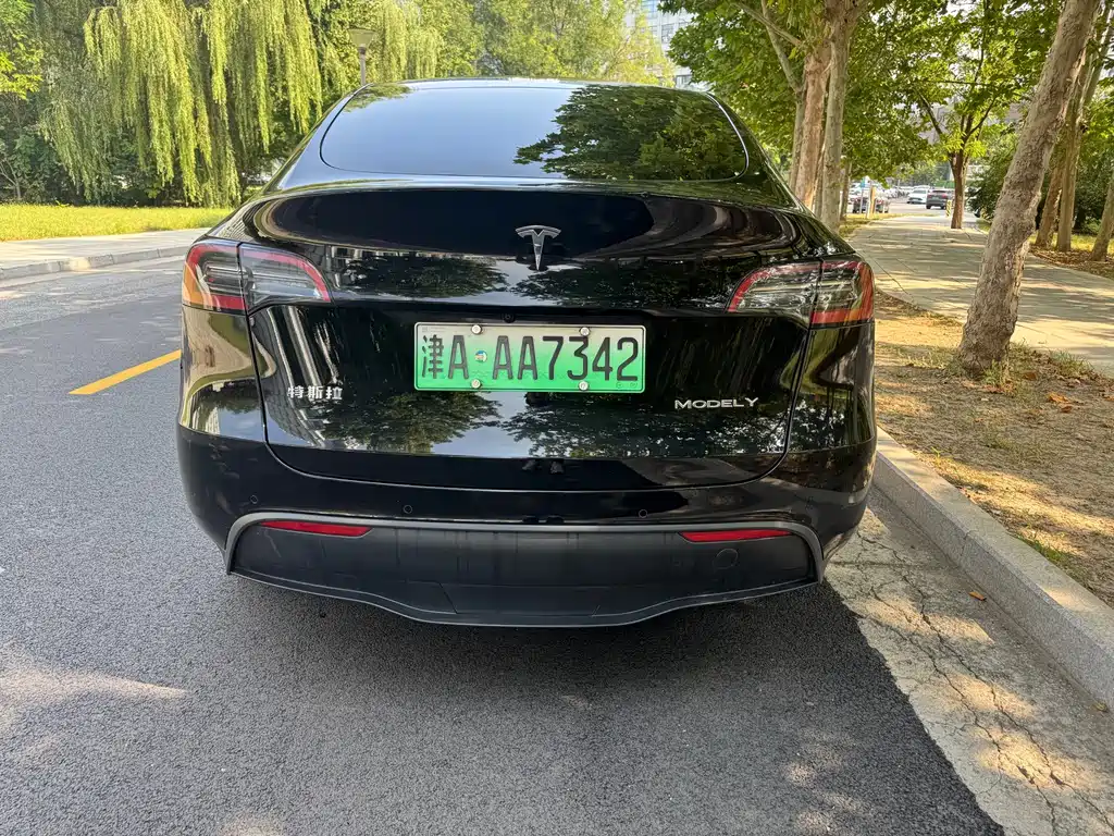 Tesla Model Y — миниатюра 4