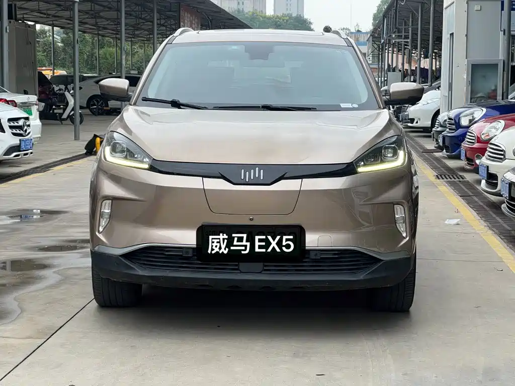 WM Motor EX5 — миниатюра 2