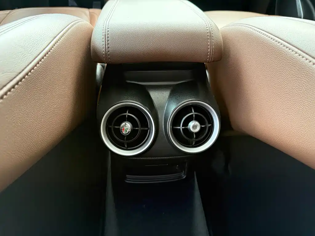 Alfa Romeo Stelvio 2.0T 200HP Luxury Edition, фото 22