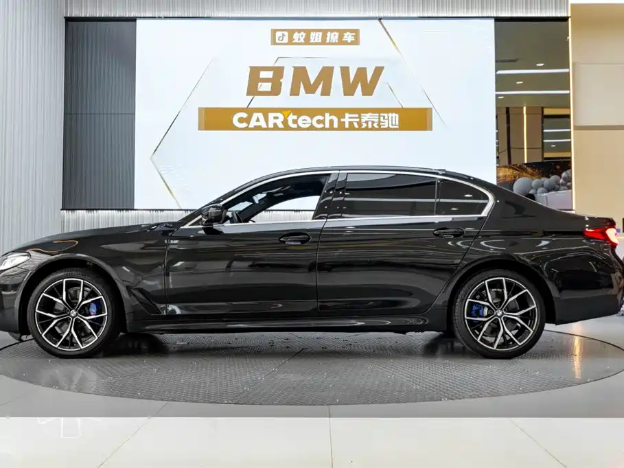 BMW 5 Series — миниатюра 3