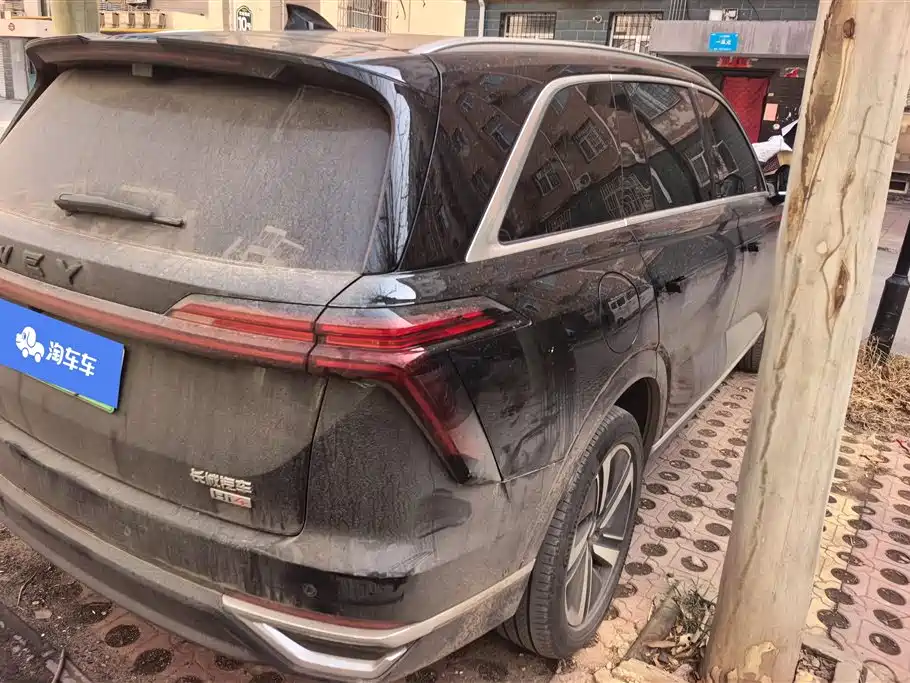 WEI PAI WEI BRAND BLUE MOUNTAIN