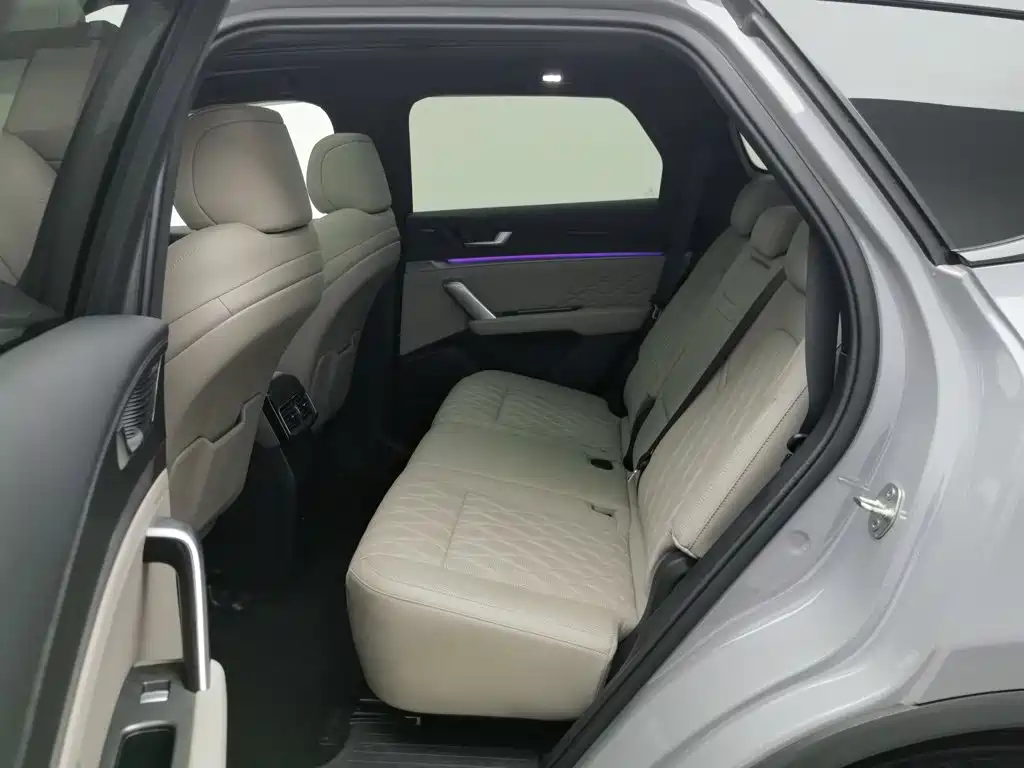 BYD Tang New Energy — миниатюра 15
