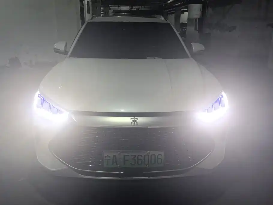 BYD PLUS New Energy — миниатюра 2