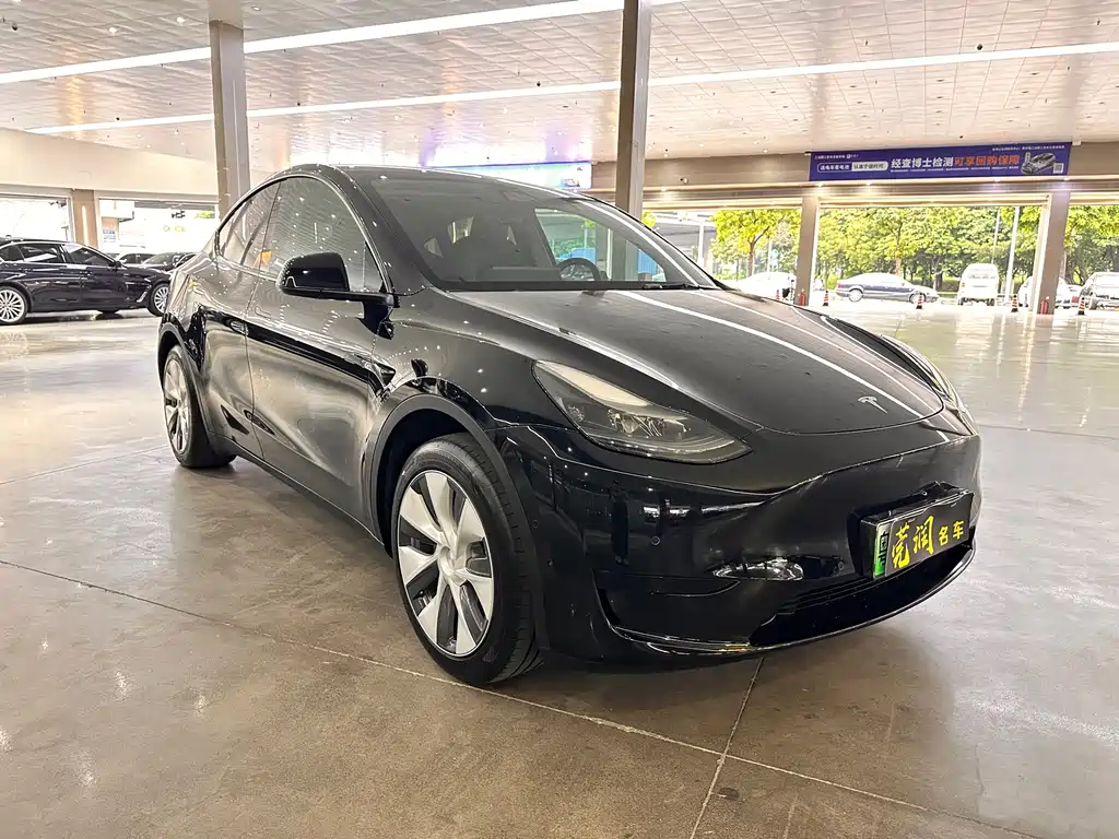Tesla Model Y — миниатюра 3