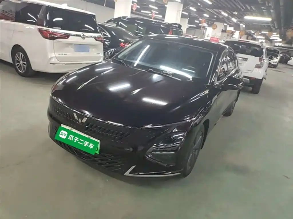 Wuling Xingguang 2024