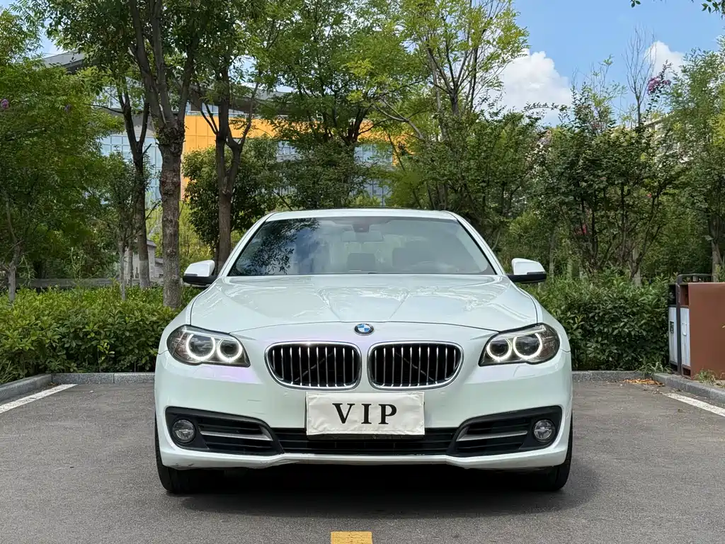 BMW 5 Series — миниатюра 2