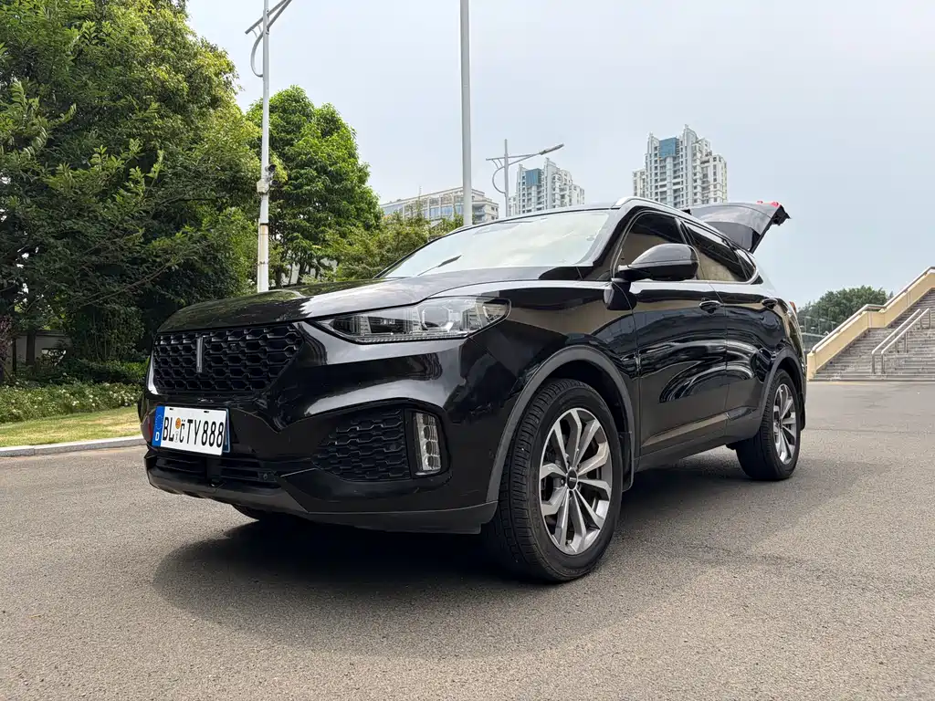 Wey Wey VV6 2018