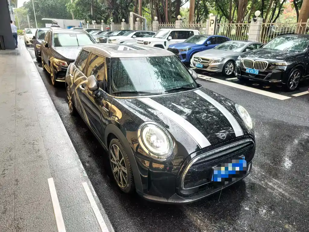 Mini Mini 2021