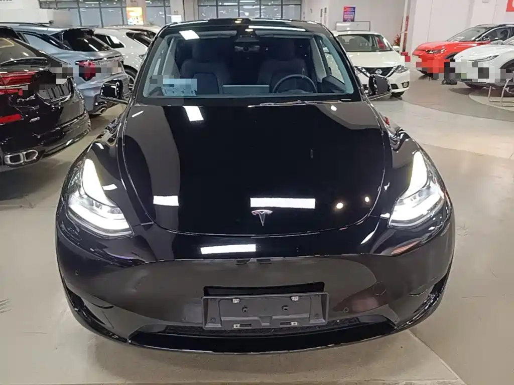 Tesla Model Y — миниатюра 3