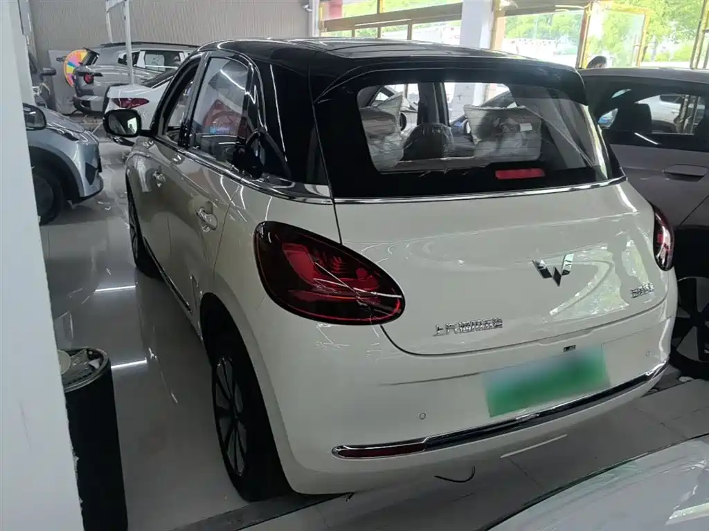 Wuling Binguo 2025 333km Enjoy