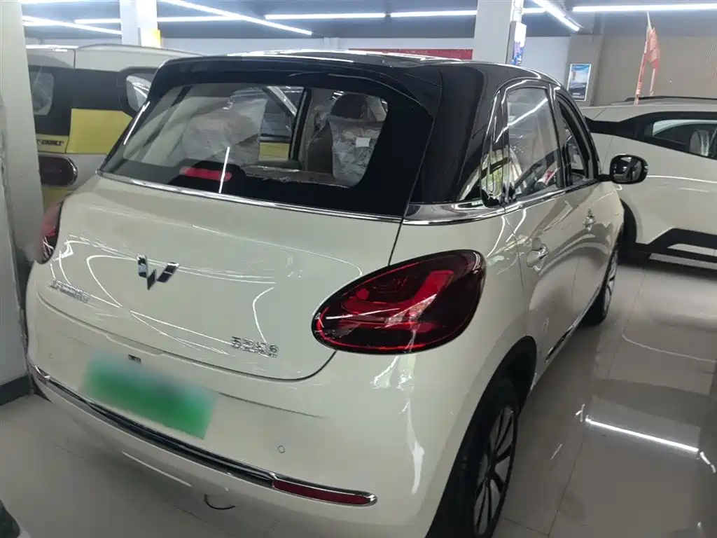 Wuling Binguo 2025 333km Enjoy