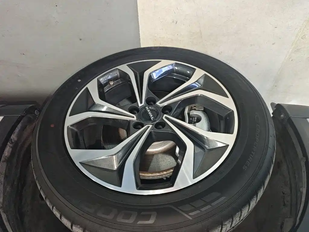 Haval Xiaolong MAX — миниатюра 23