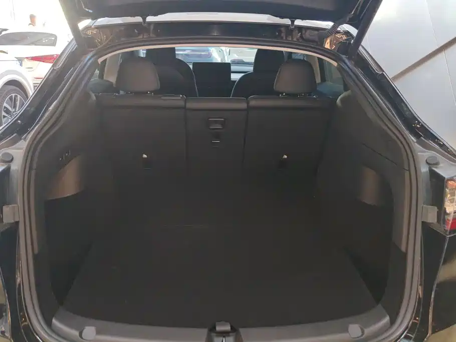Tesla Model Y — миниатюра 4