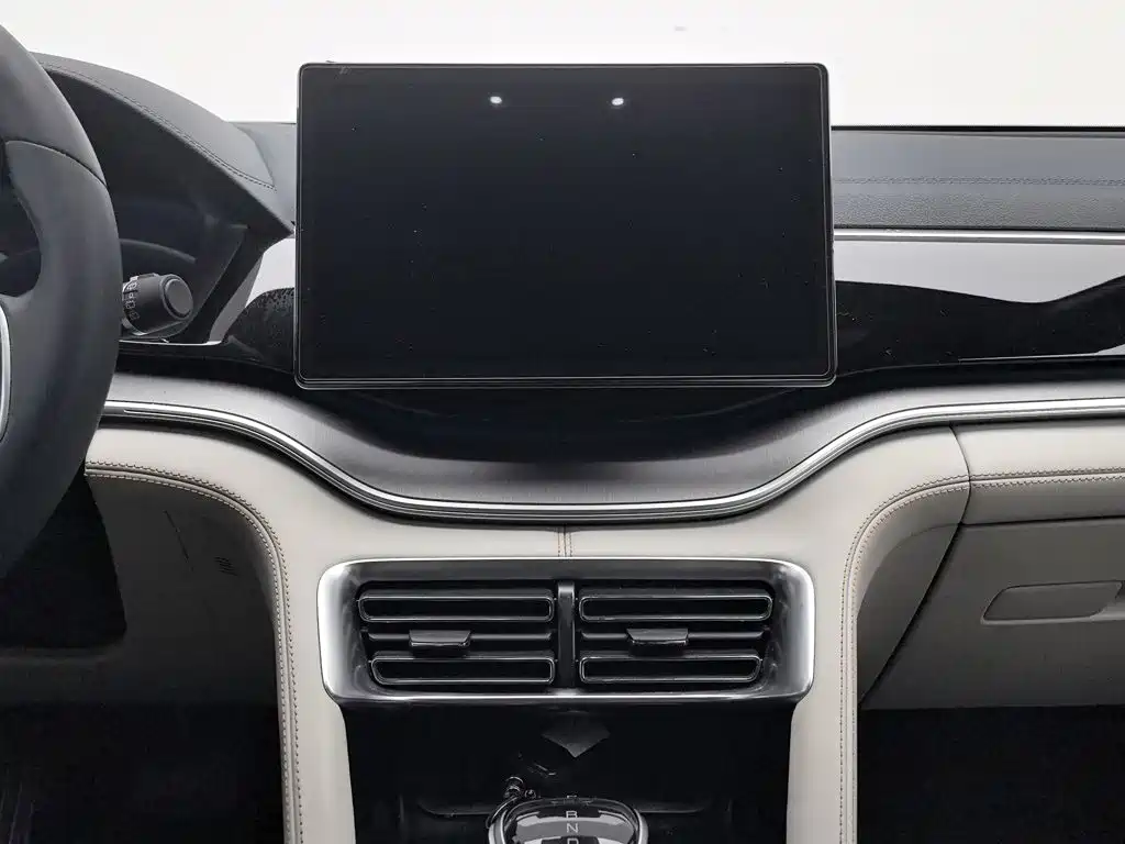 BYD PLUS New Energy — миниатюра 12