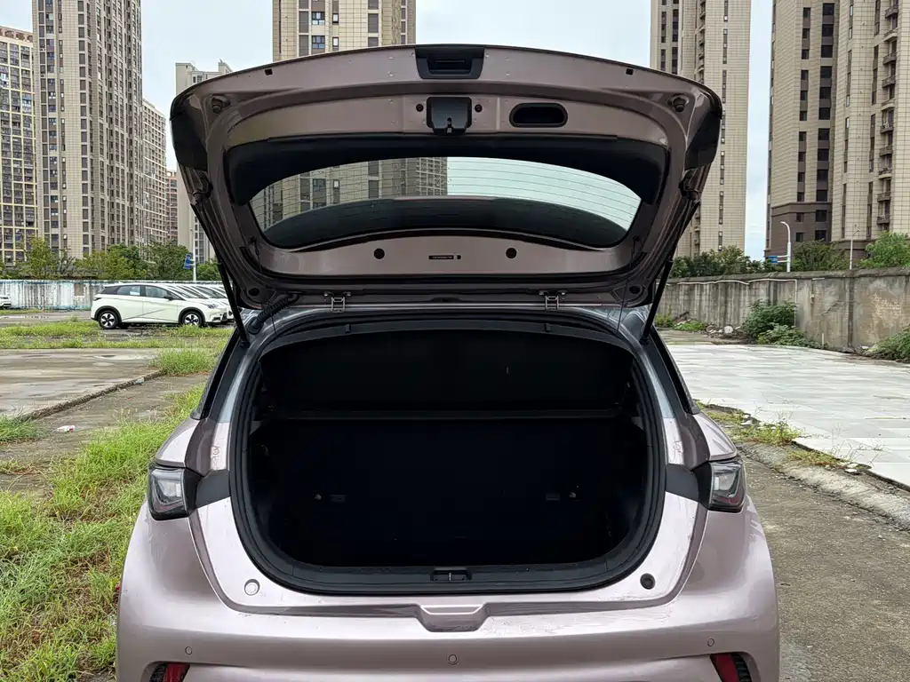 BYD Dolphin — миниатюра 13