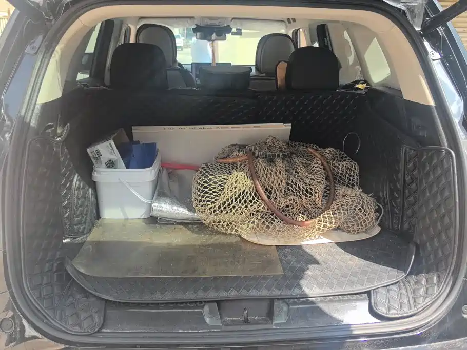 Haval Big Dog PLUS — миниатюра 4