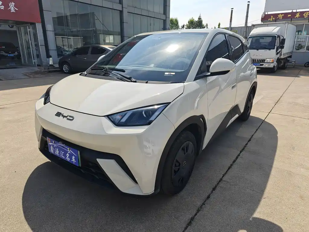 Byd Seagull 2024