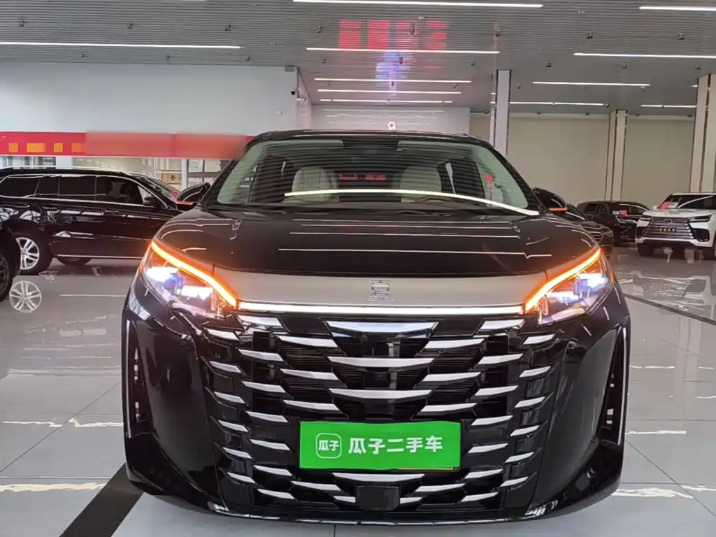 BYD Xia — миниатюра 3