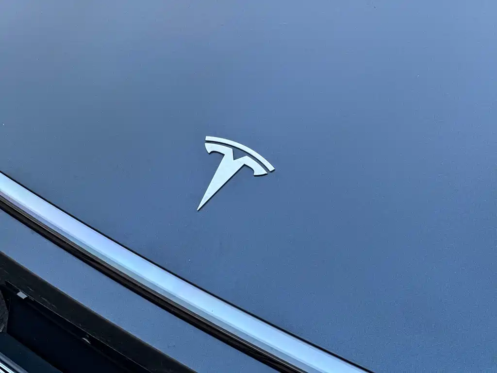 Tesla Model Y — миниатюра 5