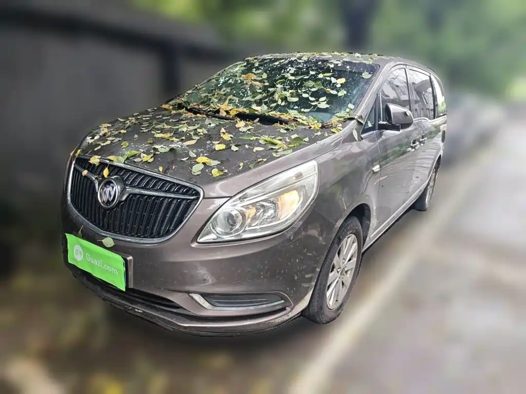 Buick GL8 2017 25S Luxury V