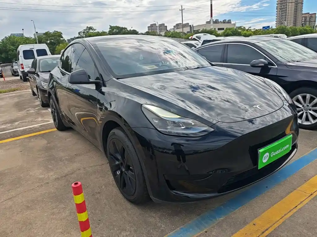 Tesla Model Y — миниатюра 4