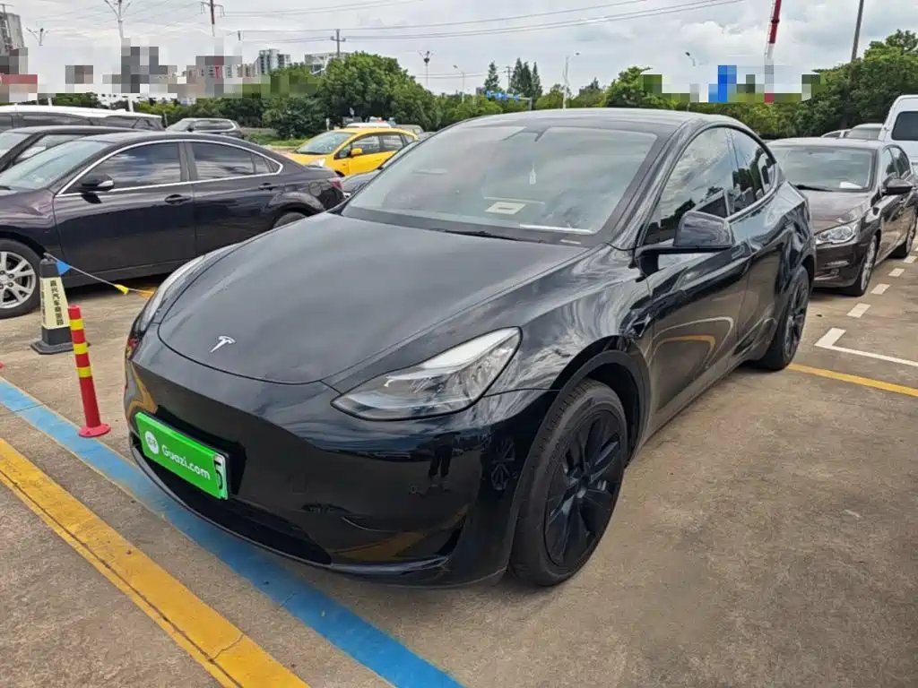 Tesla Model Y — миниатюра 2