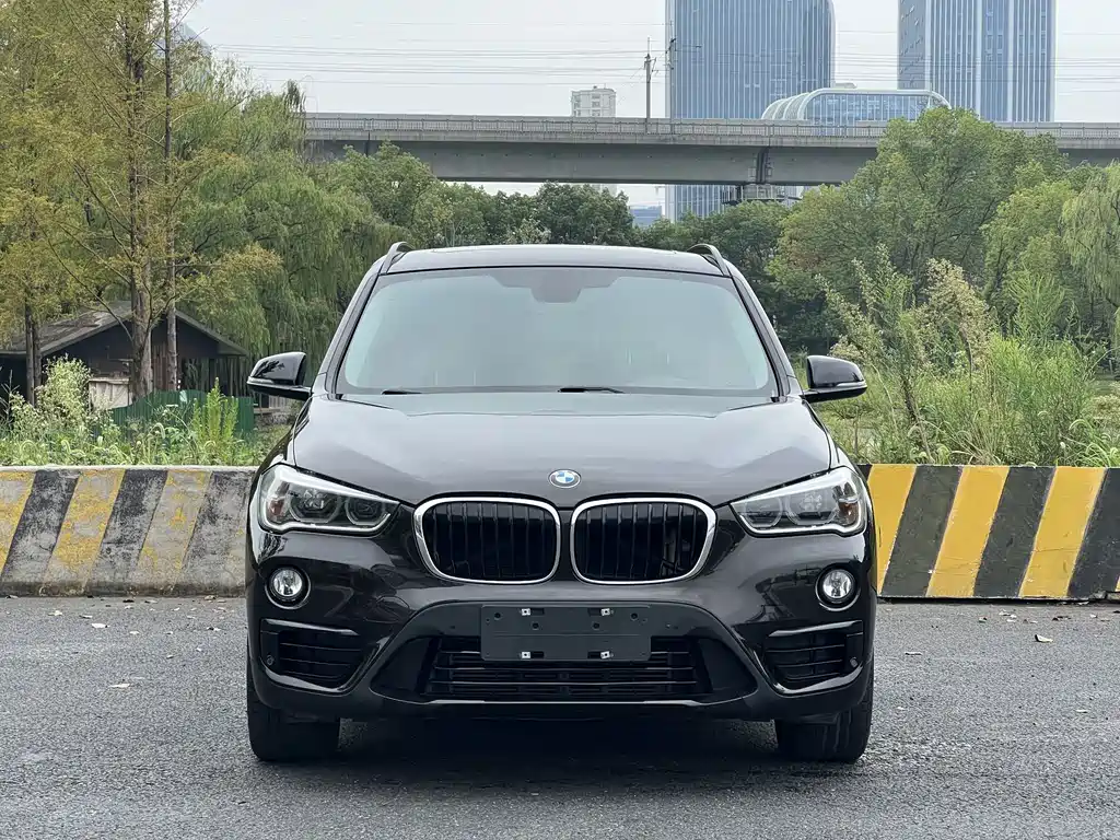 BMW X1 — миниатюра 2