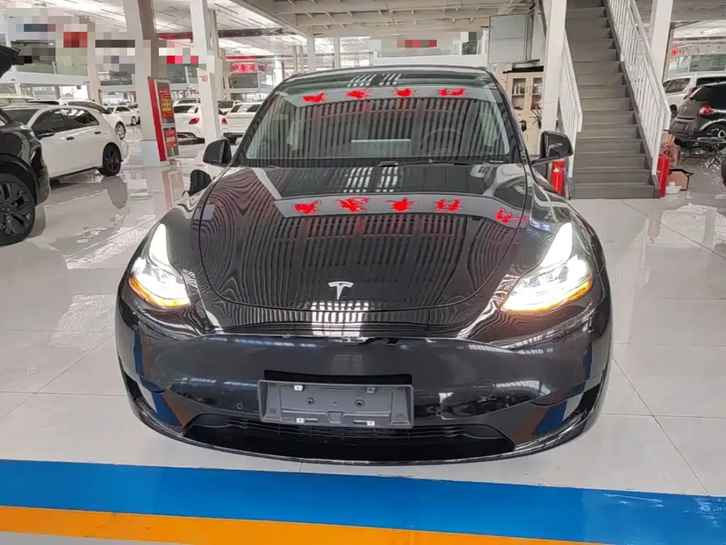 Tesla Model Y — миниатюра 3