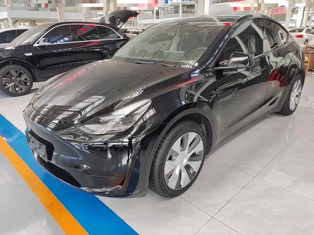 Tesla Model Y — миниатюра 2