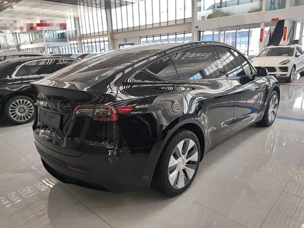 Tesla Model Y — миниатюра 7