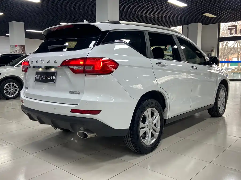 HAVAL M6