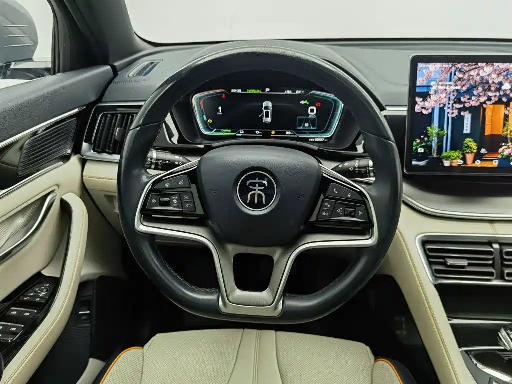 BYD PLUS New Energy — миниатюра 11