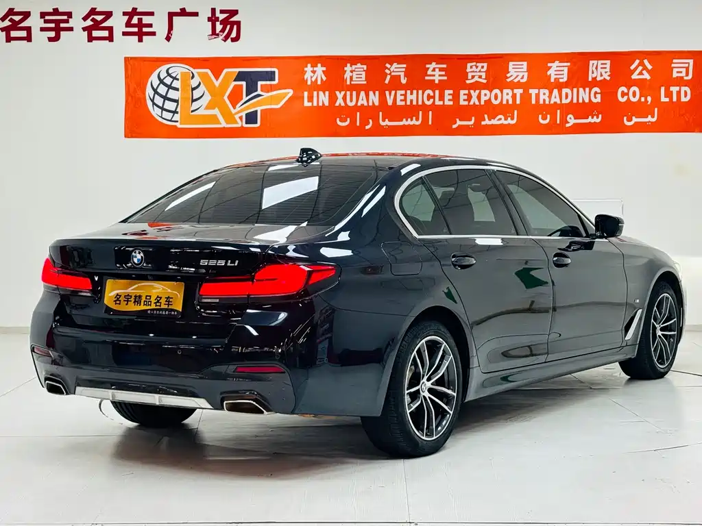 BMW 5 Series — миниатюра 4