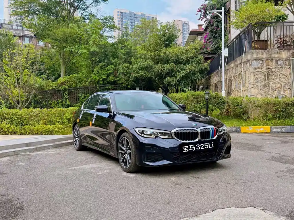 BMW 3 Series — миниатюра 3