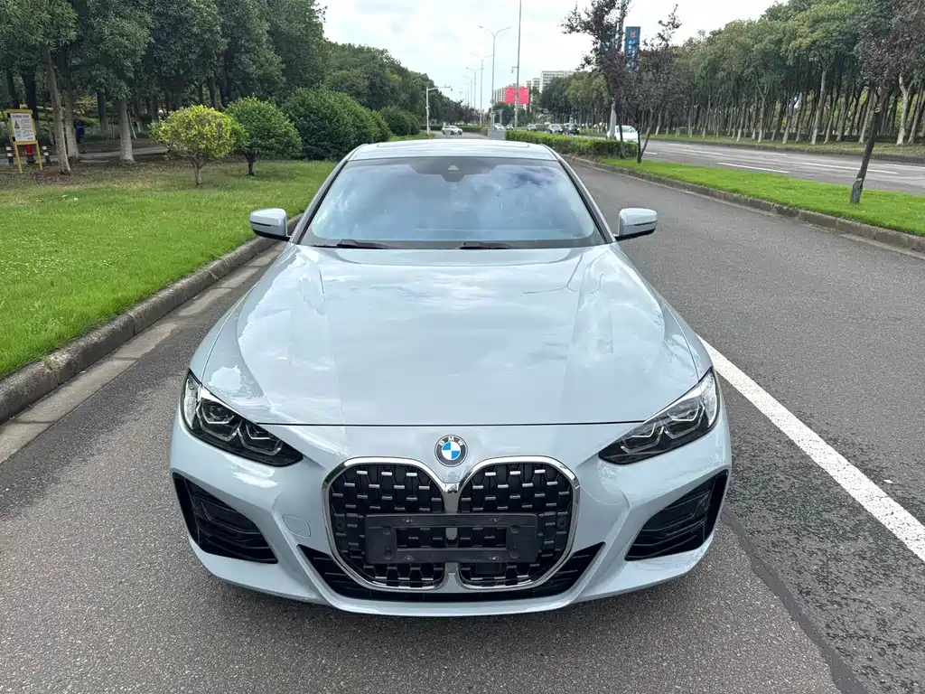 BMW 4 Series — миниатюра 2