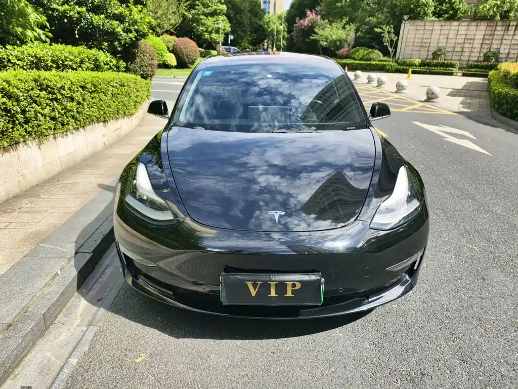 Tesla Model 3 — миниатюра 2