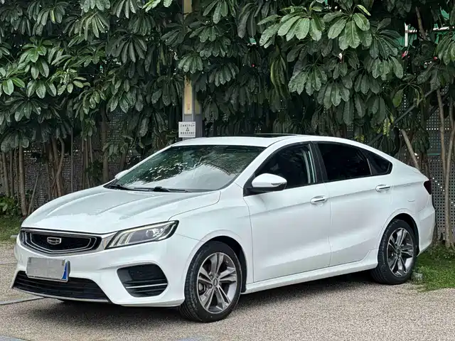 2019 Geely Binrui