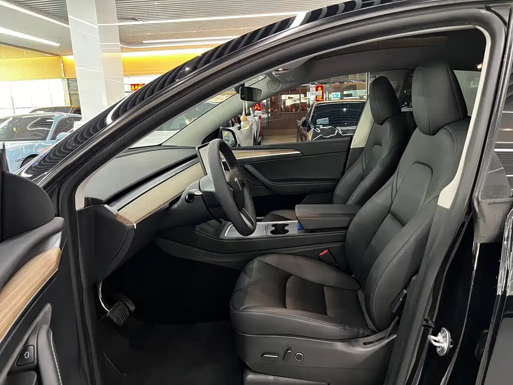 Tesla Model Y — миниатюра 6