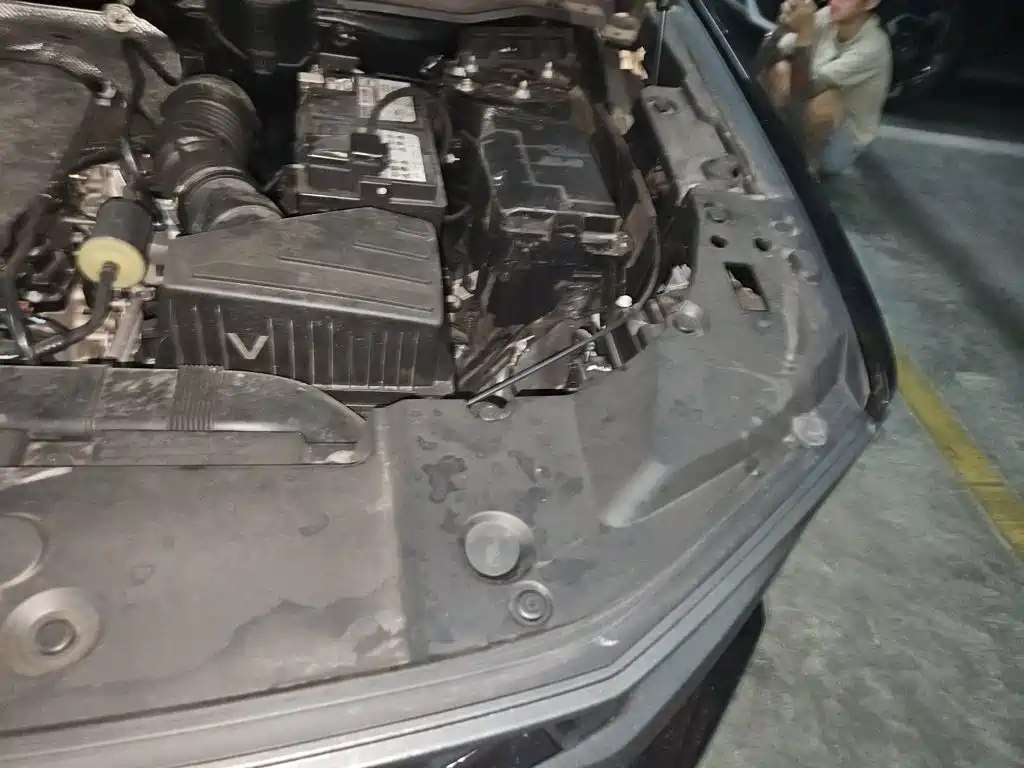 Haval Big Dog PLUS — миниатюра 21