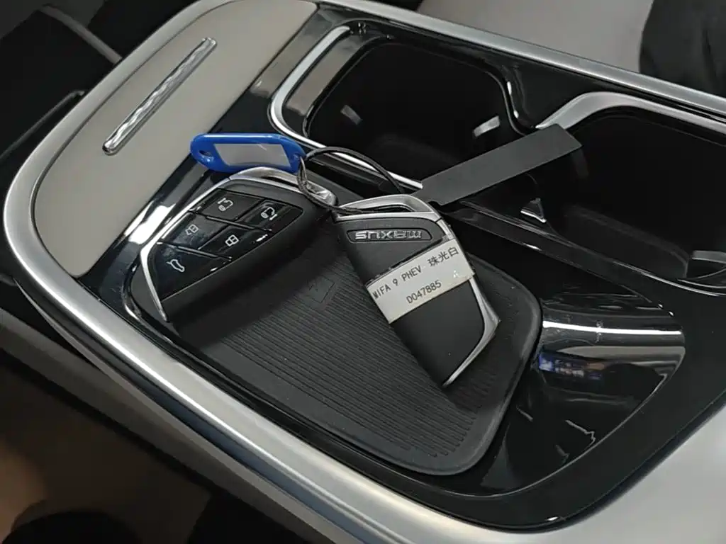 MAXUS Dajia 9 — миниатюра 8