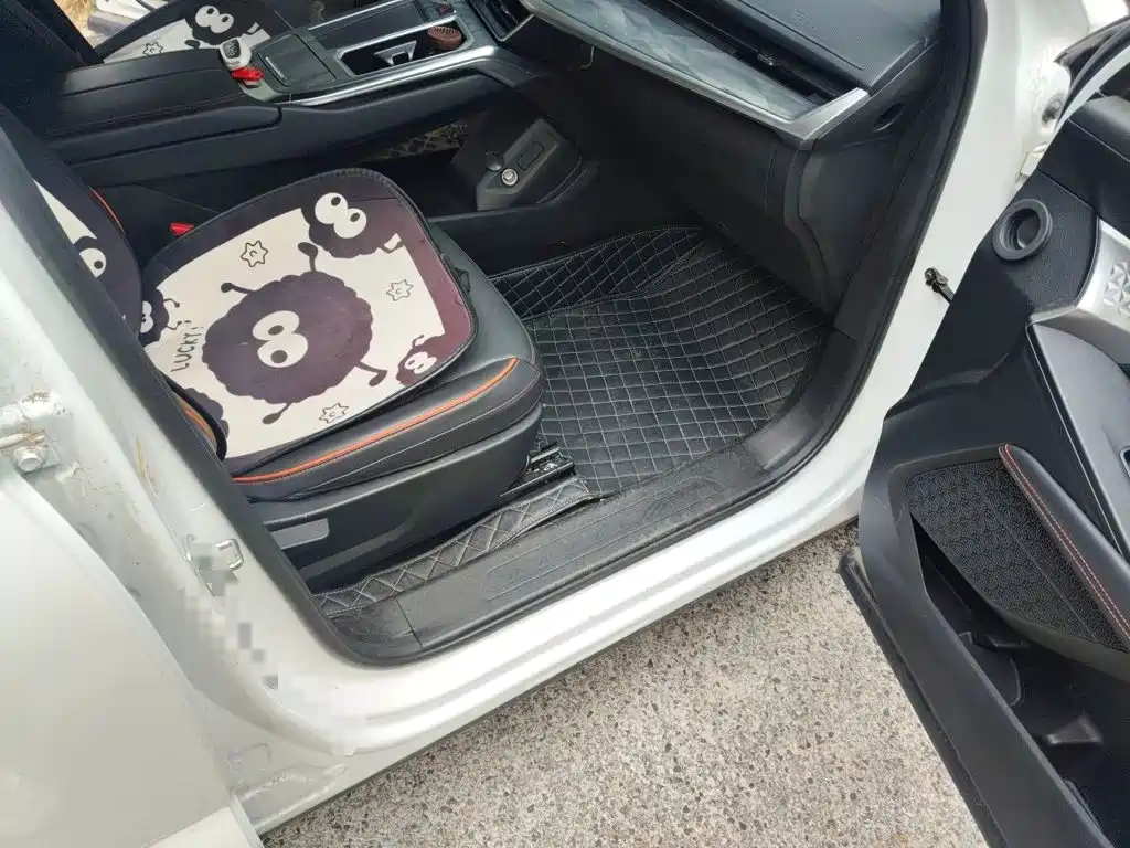 Haval Shenshou — миниатюра 19
