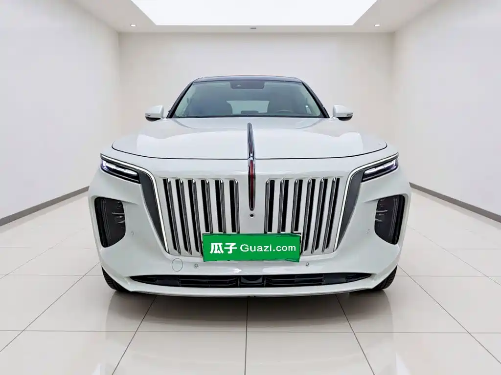 Hongqi Hongqi E-HS9 — миниатюра 2