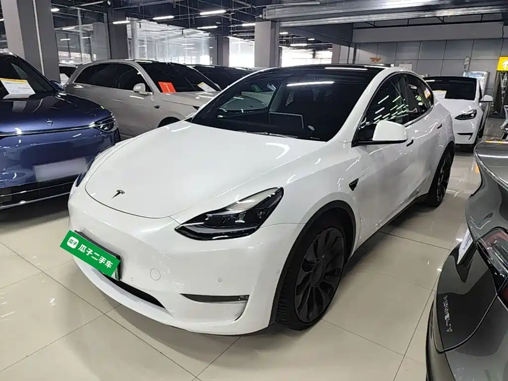 Tesla Model Y — миниатюра 2
