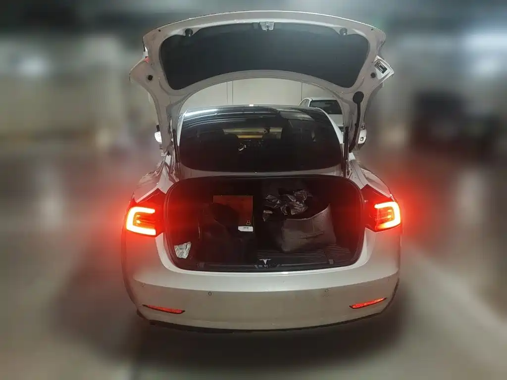 Tesla Model 3 — миниатюра 15