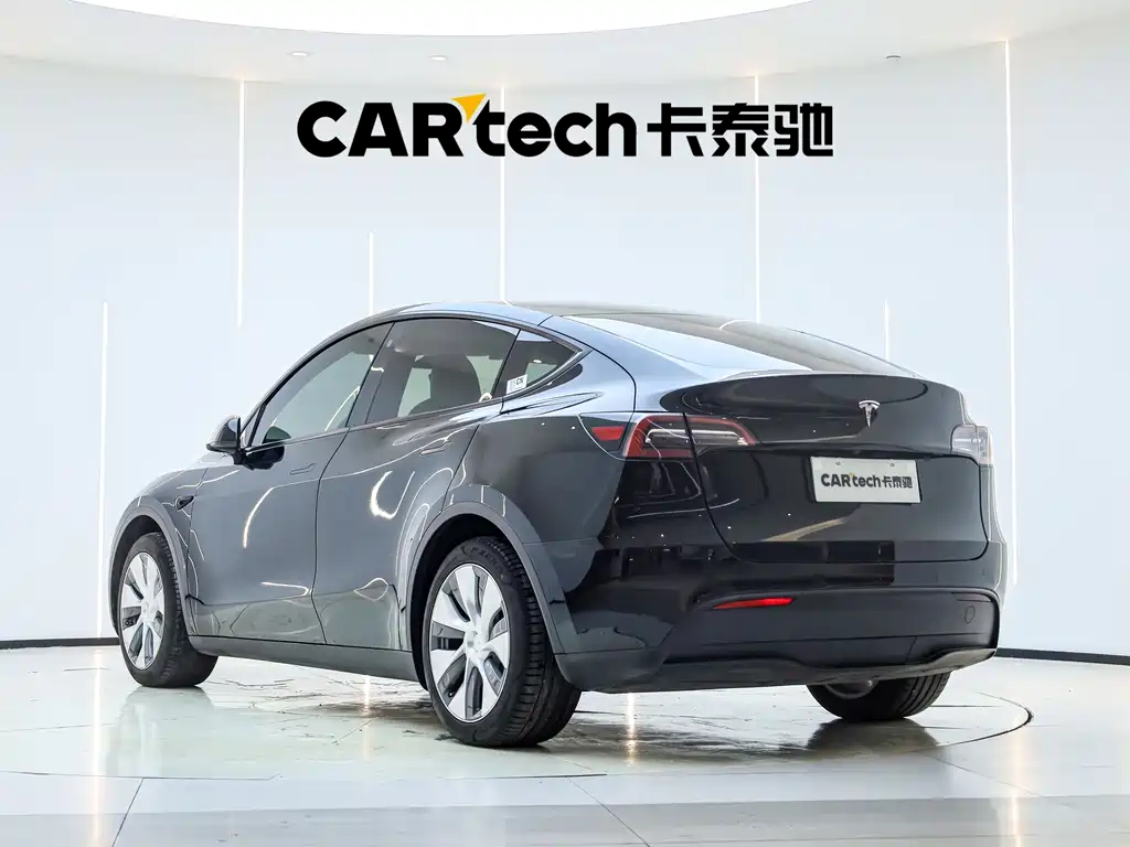 Tesla Model Y — миниатюра 2