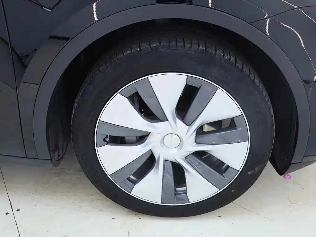 Tesla Model Y — миниатюра 29