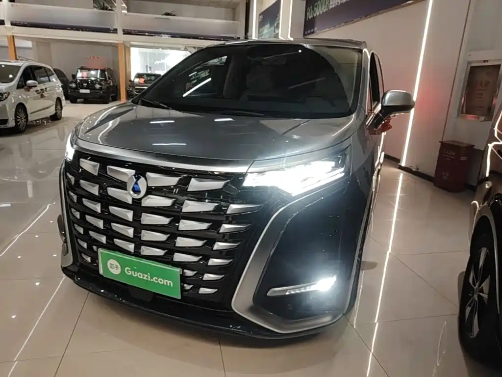 2023 Denza D9 - zdjęcie 1 z 25