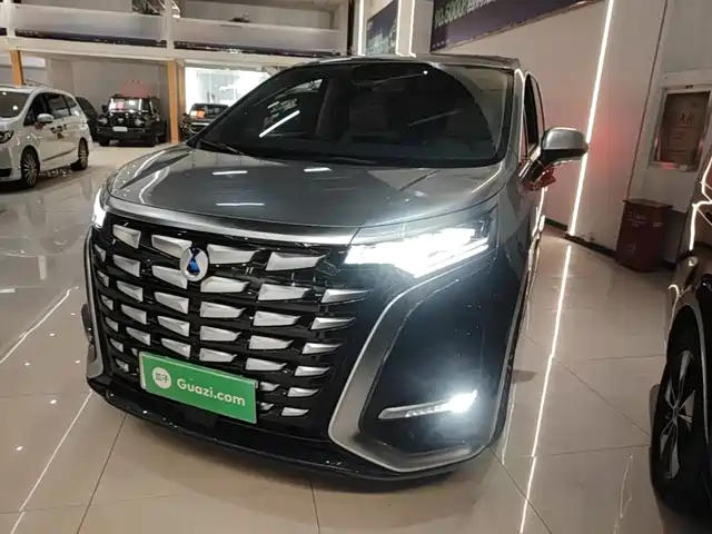 2023 Denza D9